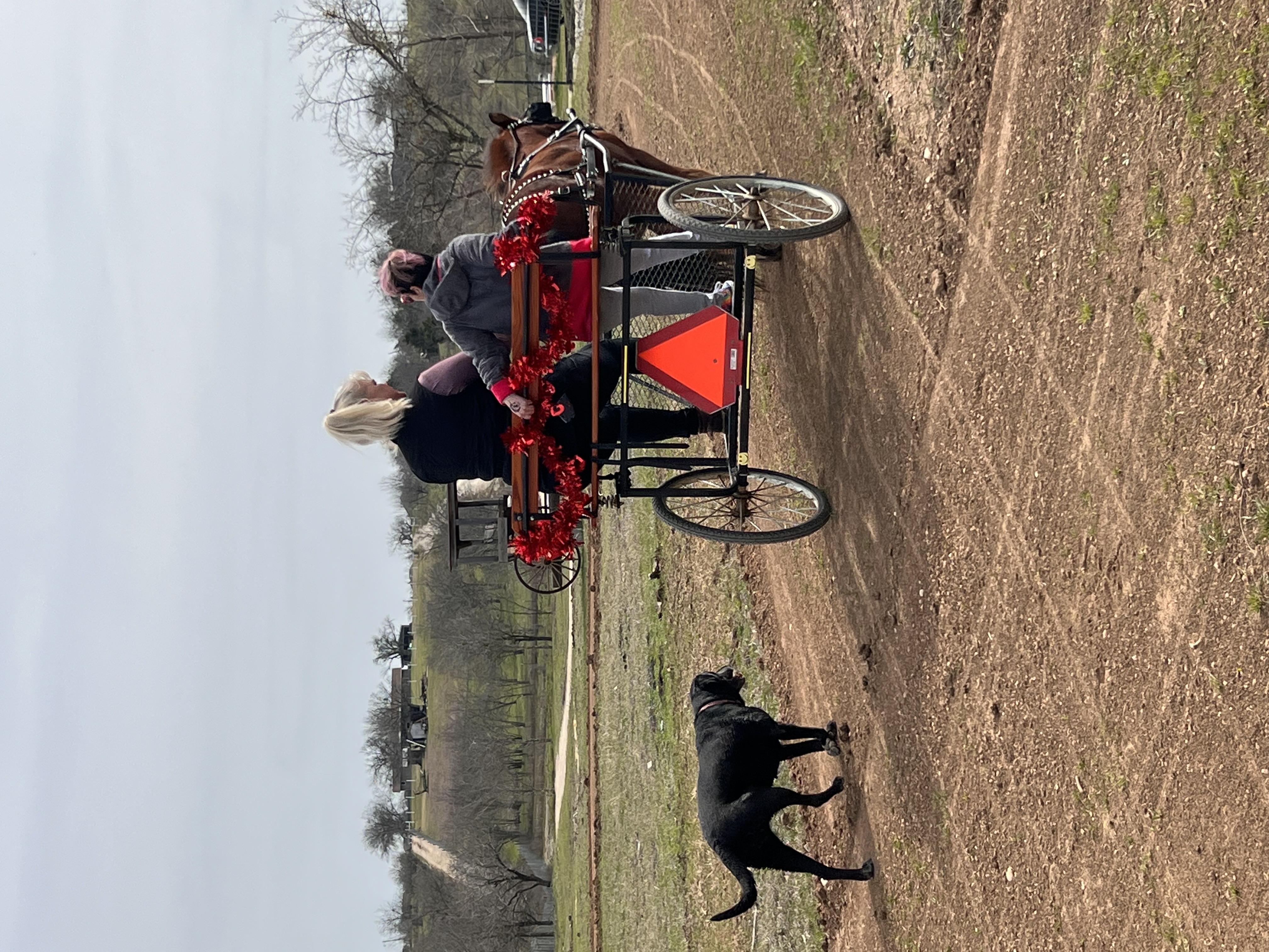 ./2023/02 - Texas/IMG_6356.JPG